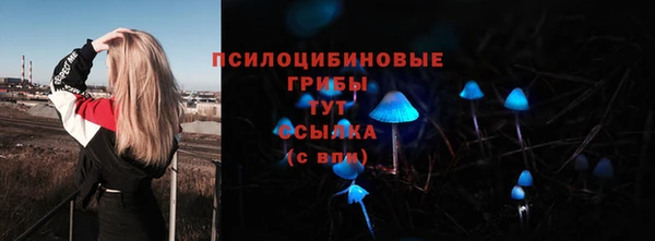 трава Балахна